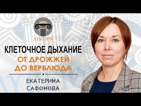Видео: Клеточное дыхание / Екатерина Сафонова