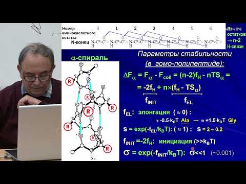 Видео: Финкельштейн А.В. - Физика белка - 8. Переходы во вторичных структурах. Строение фибриллярных белков