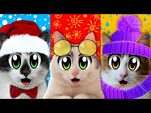 Видео: 24 ЧАСА ЧЕЛЛЕНДЖ: ЗИМОЙ, ЛЕТОМ, ВЕСНОЙ! ШКОЛА КОТОВ А НУ-КА ДАВАЙ-КА