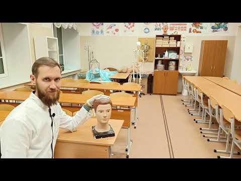 Видео: УЗДЕЧКА | ЧЕПЕЦ | КРЕСТООБРАЗНАЯ | НЕАПОЛИТАНСКАЯ ШАПОЧКА | НА 1 И ОБА ГЛАЗА | ПОВЯЗКИ НА ГОЛОВУ