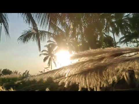 Видео: осы әнді үнемі тыңдаңыз, бәрімізге береке