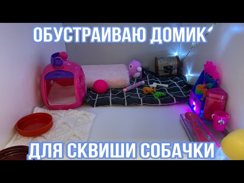 Видео: Обустраиваю домик для СКВИШИ СОБАЧКИ! Произошла ТРЕШ СИТУАЦИЯ😱