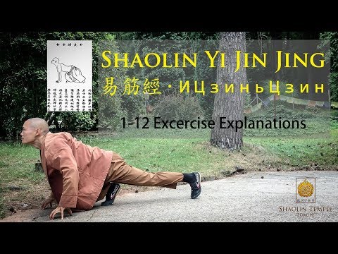 Видео: 易筋經 · Yi Jin Jing (1-12 · Full Explanations) · ИЦзиньЦзин +Subtitles