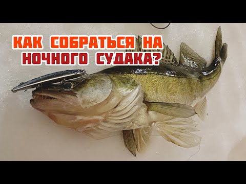 Видео: КАК СОБРАТЬСЯ НА НОЧНОГО СУДАКА ? | ЭТИ СОВЕТЫ - СДЕЛАЮТ РЫБАЛКУ КОМФОРТНЕЕ