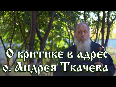 Видео: О критике в адрес о. Андрея Ткачёва