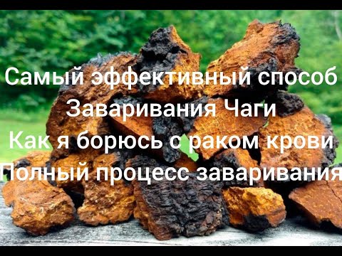 Видео: Как заваривать чагу чтобы добиться максимально полезного эффекта. Часть 3.