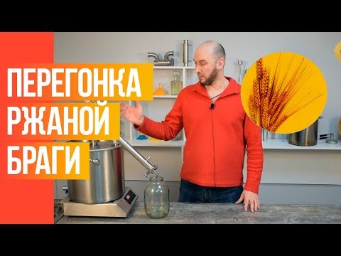 Видео: Перегонка браги на ржаной муке. Метод Габриэля