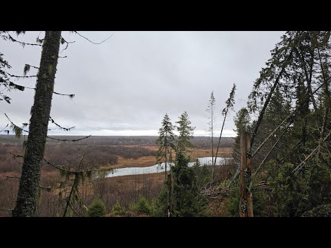 Видео: Поход на речку [29.01.2025 Uma Viagem ao Rio [29 de janeiro de 2025] Parte 1 