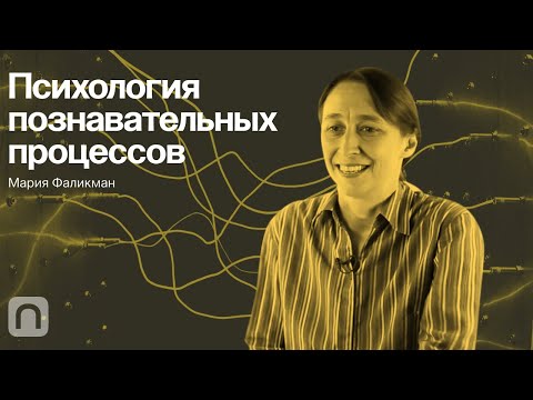 Видео: Психология познавательных процессов – курс Марии Фаликман / ПостНаука