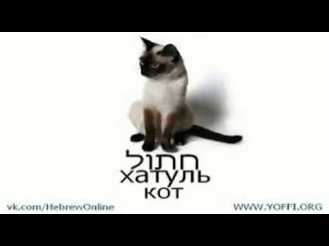 Видео: Аудио Иврит для продвинутых Урок № 7 № 8