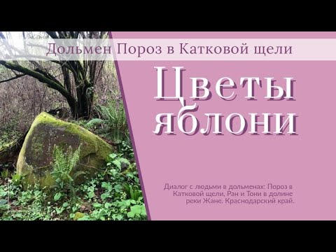 Видео: Цветы яблони. Рассказ человека в дольмене Пороз из Катковой Щели.