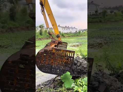 Видео: JCB поймал рыбу 🐠🐟 из реки [151]