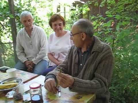 Видео: картоф и домат в Едно !