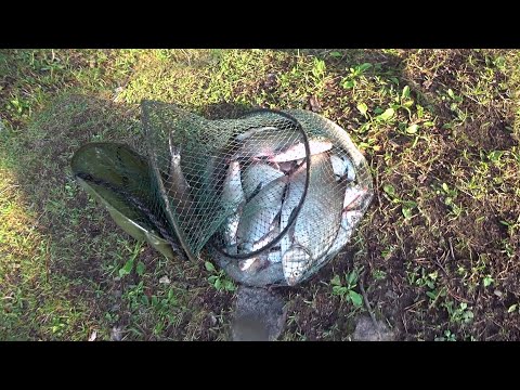Видео: БОБРИХА! РЫБАЛКА С НОЧЕВОЙ! ЩУКА! ЛЕЩИК! ПЕЧЕНАЯ КАРТОШКА! КРАСИВЫЙ РАССВЕТ И МНОГО ЛОДОК НА ВОДЕ!