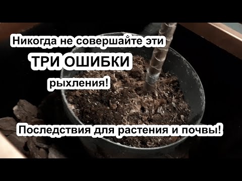 Видео: Критические ОШИБКИ рыхления! Как не испортить почву. Не НАВРЕДИ растению