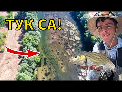 Видео: СКЪСА МИ ОГРОМЕН КЕФАЛ! Риболов на КЕФАЛ на река Марица!