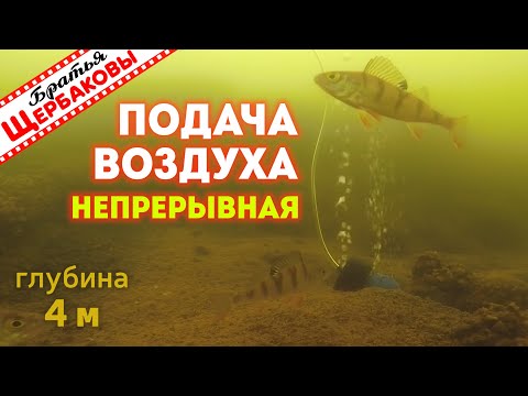 Видео: Прикормка…КИСЛОРОДОМ-2  Ситуация ПРОЯСНЯЕТСЯ! Тест на ИСПУГ и рак «шатун»