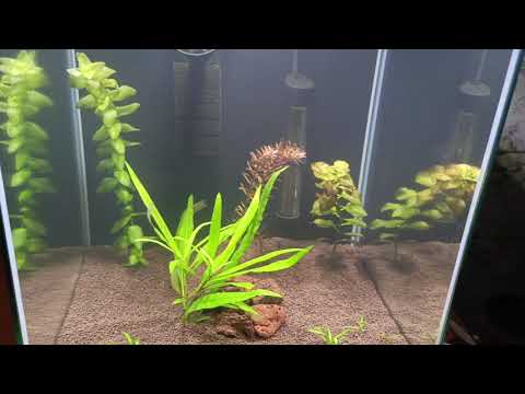 Видео: 1 ноября 2025 г.