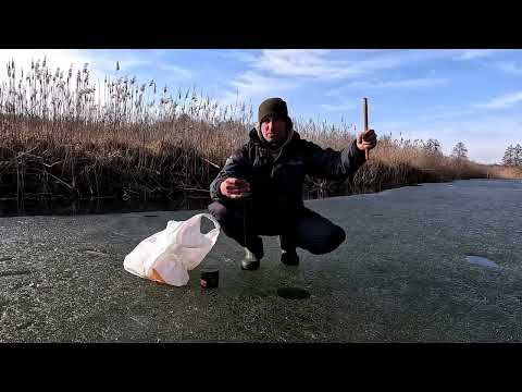 Видео: Весняна риболовля з собаками на Стоході: останні дні криги