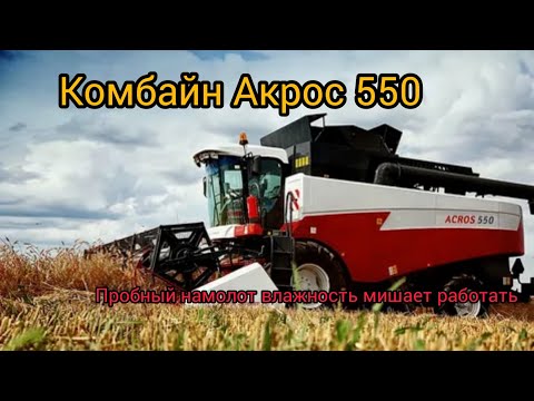 Видео: Комбайн Акрос 550 пробный намолот влажность мешает работать