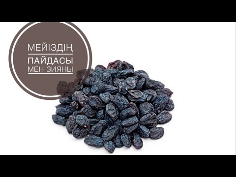 Видео: Мейіздің адам ағзасына пайдасы мен зияны. Сіз білмитін қызықтар.Изюм.