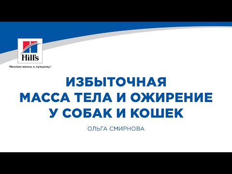 Видео: Вебинар на тему: “Избыточная масса тела и ожирение в повседневной клинической практике”.