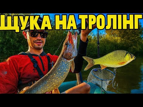 Видео: ТРОЛІНГ на Стиру. Один ВОБЛЕР ловив УСЕ