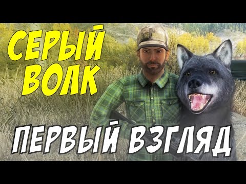 Видео: theHunter - Серый волк | Первый взгляд