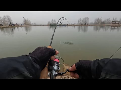 Видео: Капризная ФОРЕЛЬ в ТУМАНЕ! Ловля Форели на платнике! Рыбалка на СПИННИНГ!