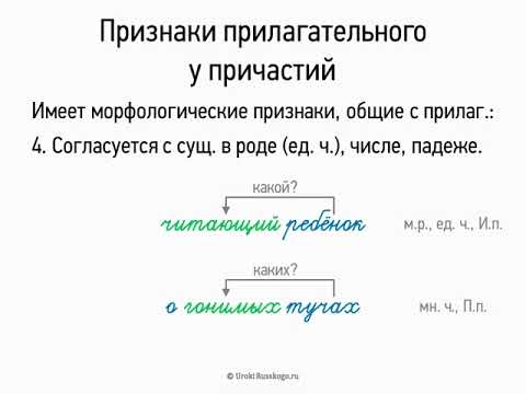 Видео: Признаки прилагательного у причастий (7 класс, видеоурок-презентация)