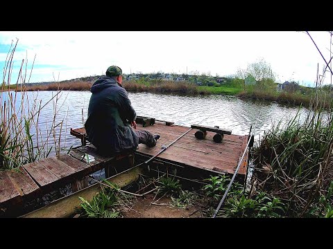 Видео: Річка не величка, а яких карасів гарних роздає!