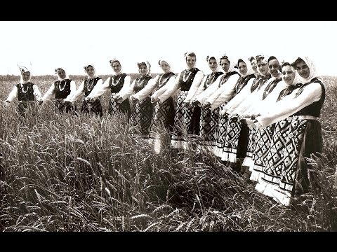 Видео: САМОДЕЕН ТАНЦОВ АНСАМБЪЛ "ДУНАВЕЦ"град Силистра/DUNAVETS