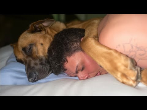 Видео: Мы потеряли нашу первую собаку... потом появилась Луна и всё изменила.