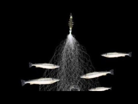 Видео: Проверка китайской сети