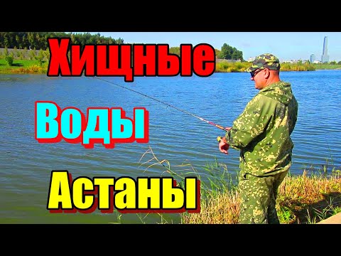 Видео: ХИЩНЫЕ ВОДЫ АСТАНЫ!!! Рыбалка в Астане 2023. #рыбалка #астана #ишим #спиннинг