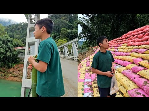 Видео: Готовясь к ремонту ванной, Лэм случайно нашла необычного червяка в бамбуковой трубке.