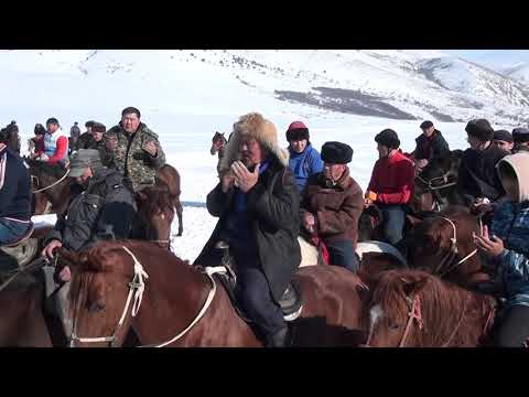 Видео: Әлімжан мырзаның көкпары Даубаба ауылы