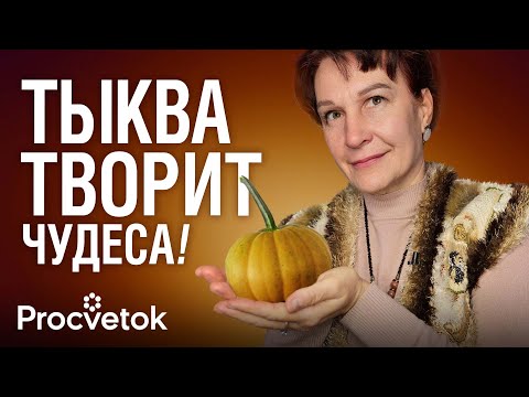 Видео: ДАЖЕ КУСОЧЕК ТЫКВЫ УКРЕПИТ ВАШЕ ЗДОРОВЬЕ! Как есть тыкву с пользой для зрения, иммунитета и красоты