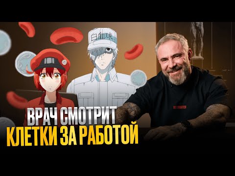 Видео: Врач Смотрит Аниме "Клетки За Работой!" (Cells at Work!)
