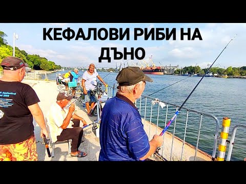 Видео: МОРСКИ РИБОЛОВ НА ИЛАРИЯ НА ДЪНО С МОРСКИ ЧЕРВЕЙ НА СТАРИЯ КЕЙ В АСПАРУХОВО! КОМЕТАТА И НОВИЯ КЕЙ!