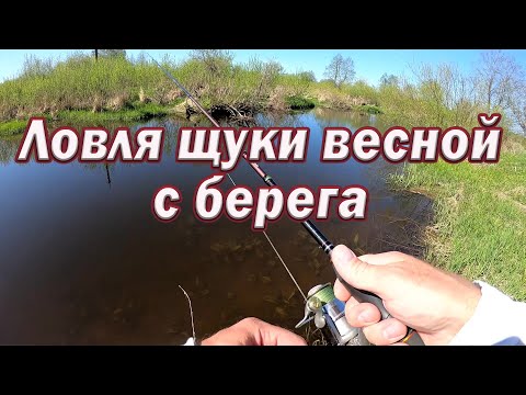 Видео: ЛОВЛЯ ЩУКИ весной !!!Как подобрать СНАСТЬ для ловли щуки .  ЛУЧШИЕ Приманки !