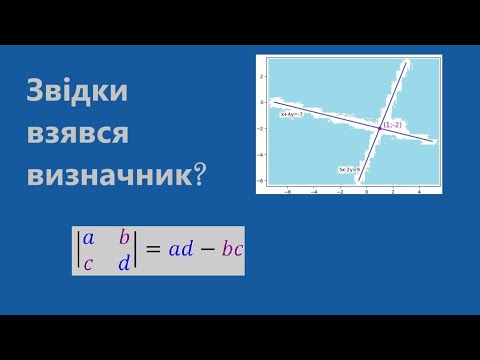 Видео: Звідки взявся визначник?