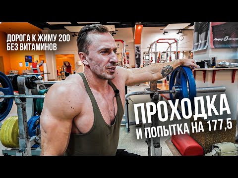 Видео: НАТУРАЛЬНЫЙ прогресс в ЖИМЕ ЛЁЖА за ДВА МЕСЯЦА! Проходка на 1ПМ. Дорога к жиму 200 БЕЗ ВИТАМИНОВ!