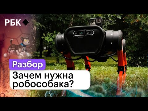 Видео: Зачем нужна робособака? Что она может, и чем лучше обычного пса?