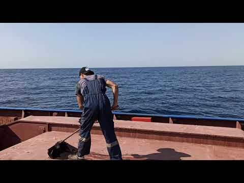 Видео: Сормовский 3051