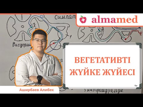 Видео: Вегетативті жүйке жүйесі 
