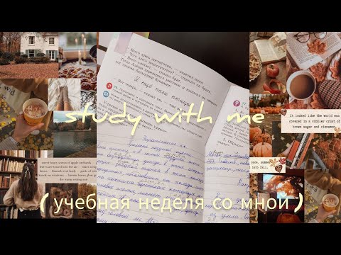 Видео: Study with me | ученая неделя со мной | много дз 🧡 | Daria daily 🩷