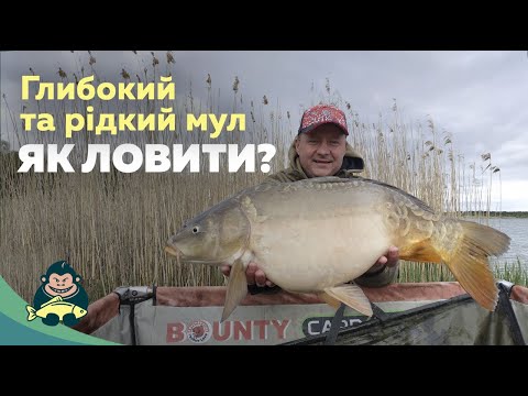 Видео: Глибокий та рідкий мул. Як ловити?