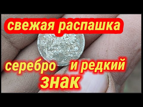 Видео: на свежей распашке серебро и редкий знак