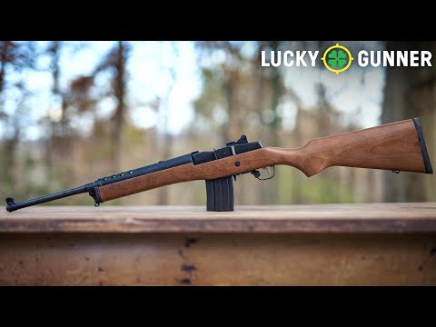 Видео: Почему Ruger Mini-14 просто не умрёт? [Часть 1]